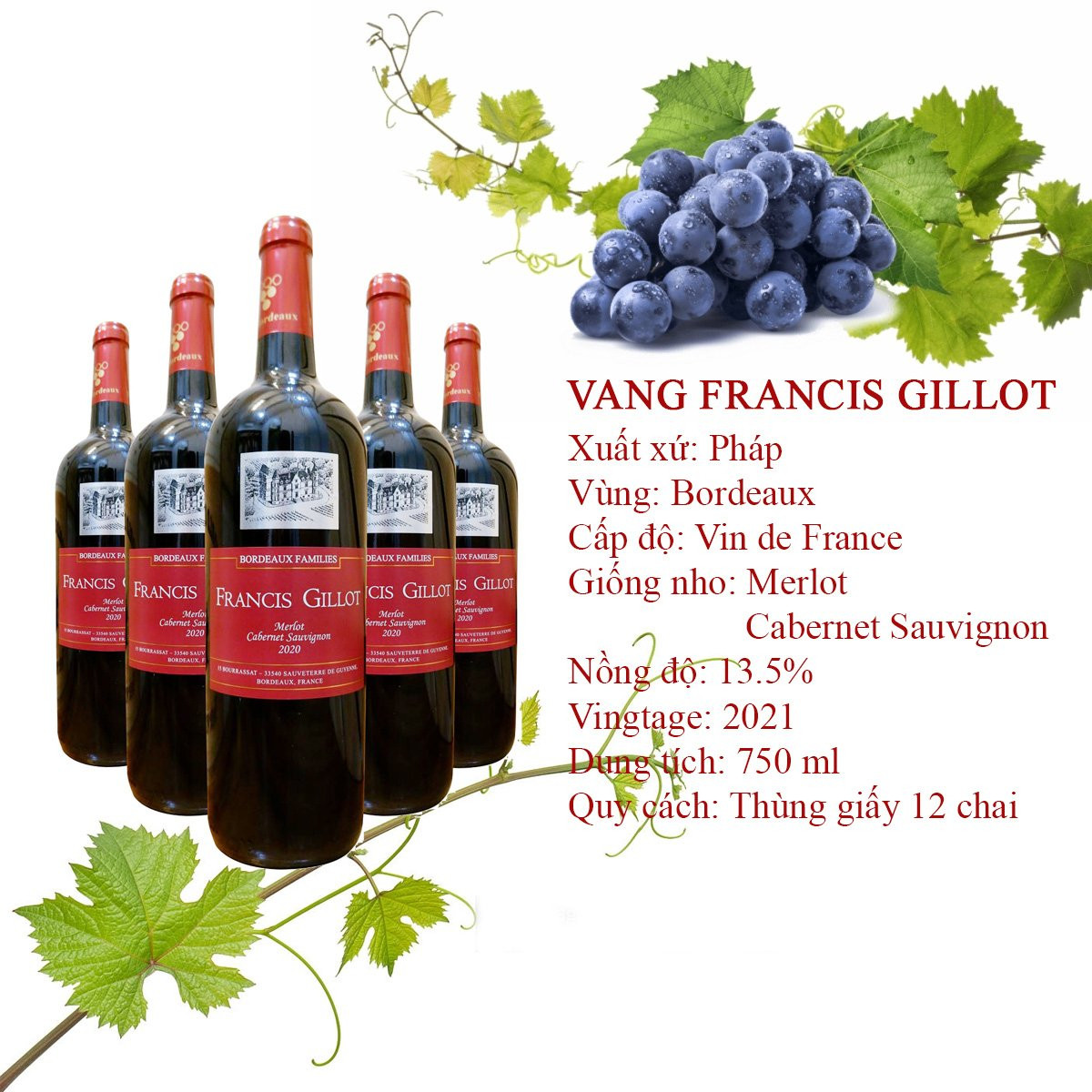 Thông Tin Sản Phẩm – Vang Pháp Francis Gillot Thông Tin Sản Phẩm – Vang Pháp Francis Gillot