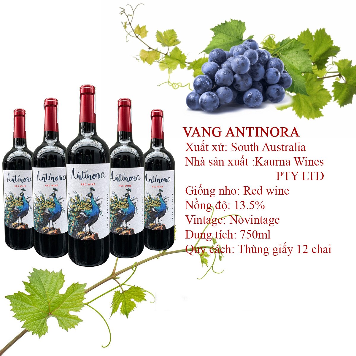 Thông Tin Sản Phẩm – Rượu Vang Úc Antinora Thông Tin Sản Phẩm – Rượu Vang Úc Antinora